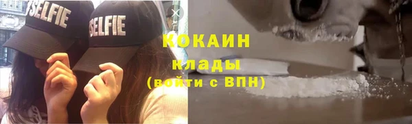 стаф Вяземский