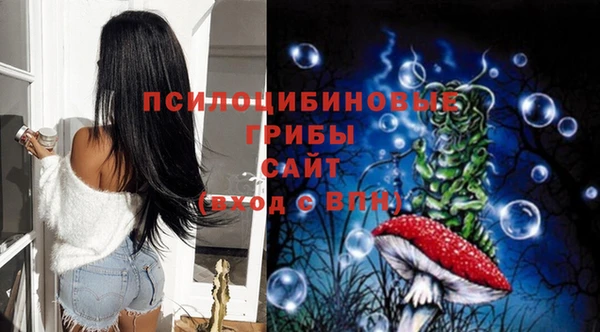 Альфа ПВП Волосово