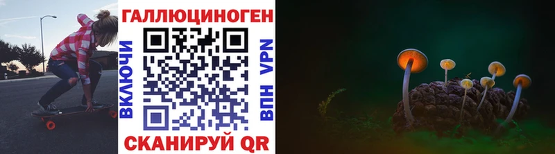 Галлюциногенные грибы мицелий hydra ссылка Заозёрный как найти закладки